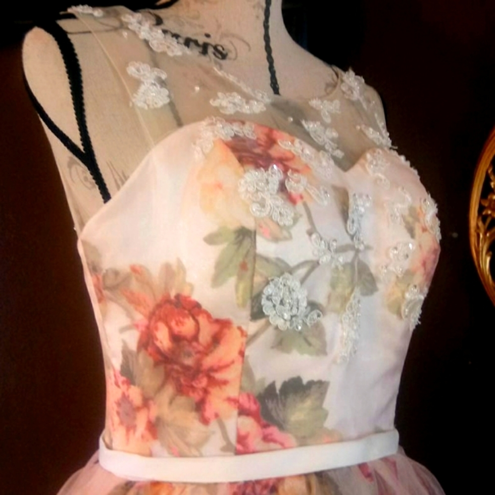 Gorgeous custom made gown - Picture 5 of 14